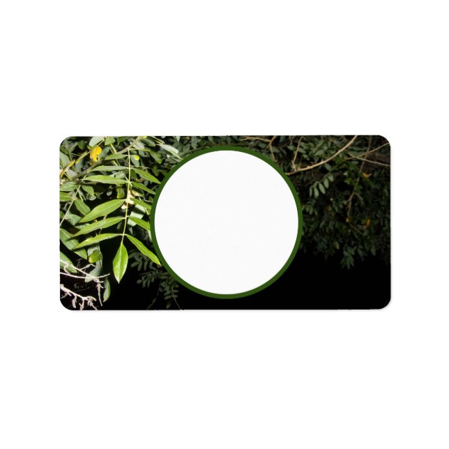 Address Labels cool eco design styles  (Front)