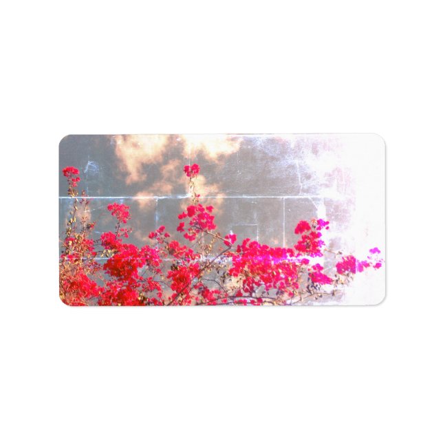 ADDRESS LABELS COOL ECO STYLE DESIGN (Front)