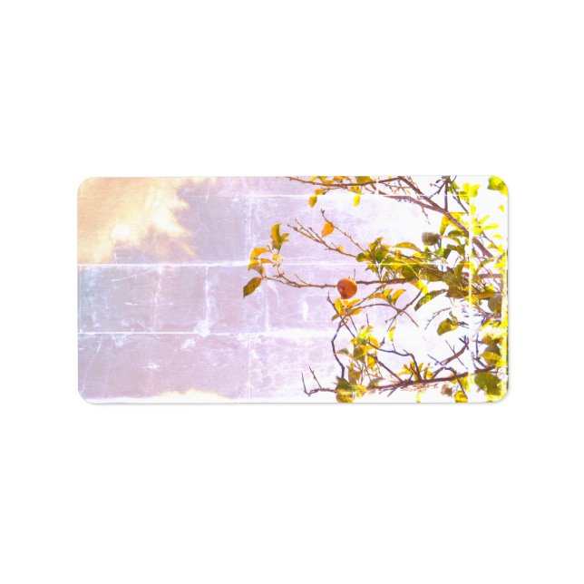 ADDRESS LABELS COOL ECO STYLE ESIGN (Front)