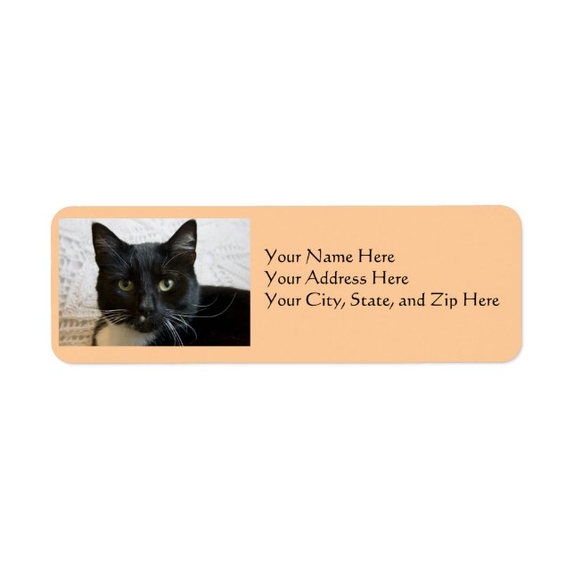 Address Labels: Lilly the Cat (Front)