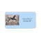Address Labels--Native American Art