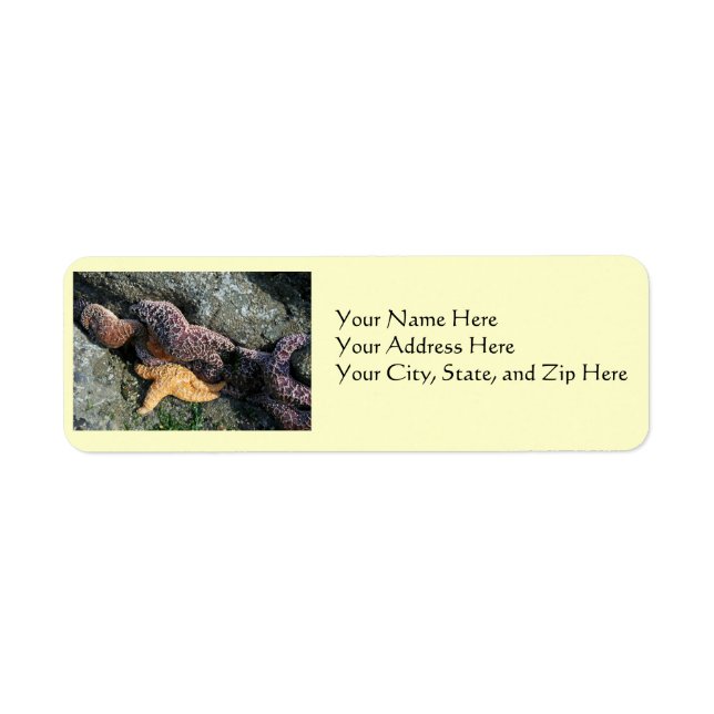 Address Labels:  Starfish (Front)