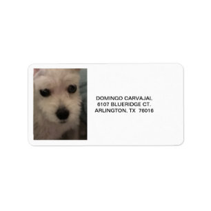 ADDRESS LABELS W/SCHNAUZER