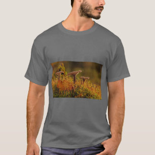 Adegein Abstract Nature Tee