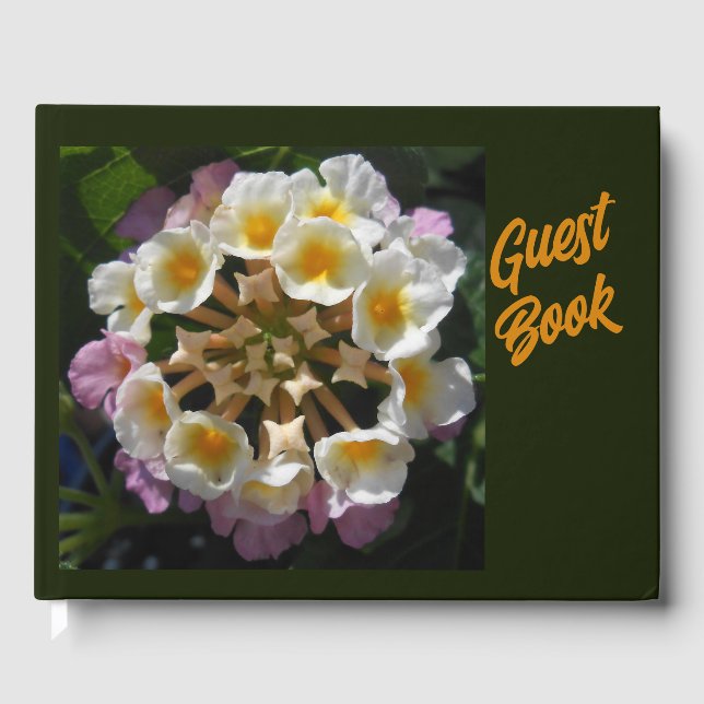 Adelaparre Guest Book (Front)