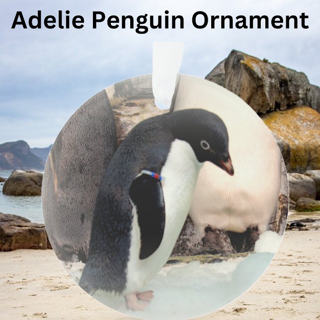 Adelie Penguin - Acrylic Ornament (Creator Uploaded)