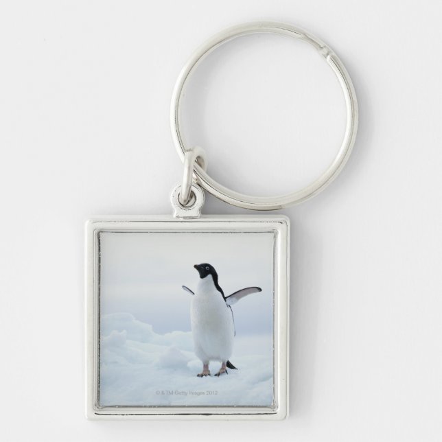 Adelie penguin, Antarctica Key Ring (Front)
