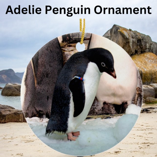 Adelie Penguin Ceramic Tree Decoration (Creator Uploaded)