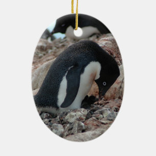 Adelie Penguin Christmas Ornament