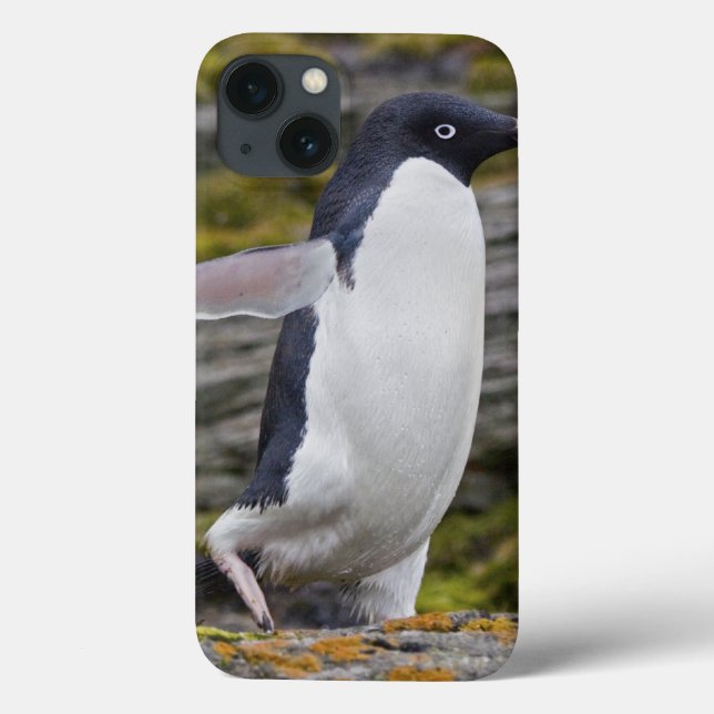 Adelie Penguin iPad Case (Back)