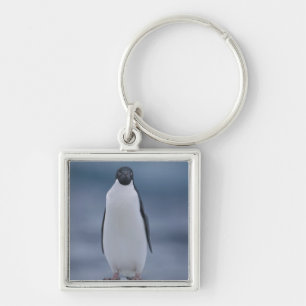 Adelie Penguin on Ice Key Ring
