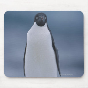 Adelie Penguin on Ice Mouse Mat