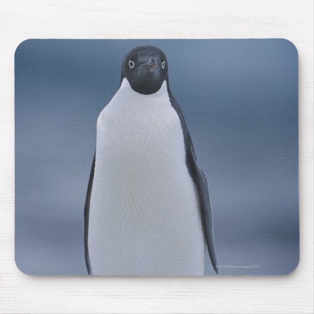 Adelie Penguin on Ice Mouse Mat (Front)