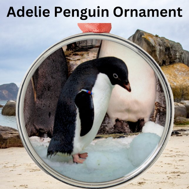 Adelie Penguin Preimium Ornament (Creator Uploaded)
