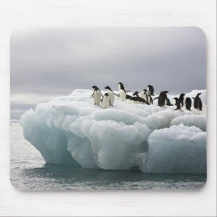 Adelie Penguin Pygoscelis adeliae), Mouse Mat