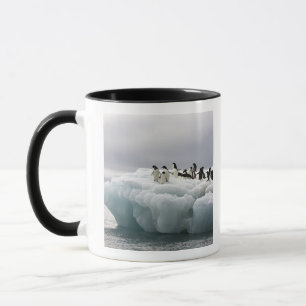 Adelie Penguin Pygoscelis adeliae), Mug
