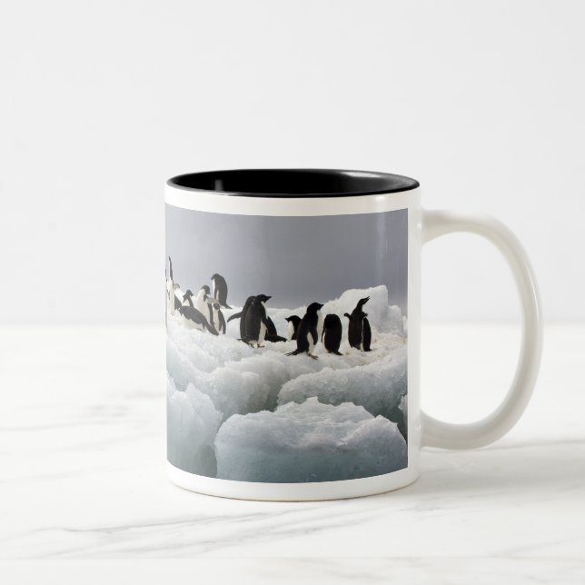 Adelie Penguin Pygoscelis adeliae), Two-Tone Coffee Mug (Right)