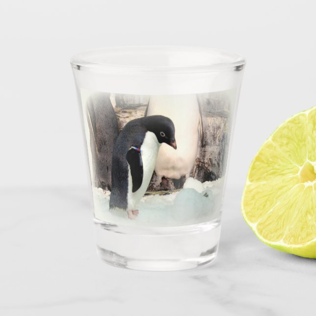 Adélie penguin Shot glass (Front)