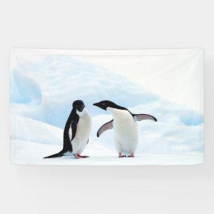 Adelie Penguins Banner