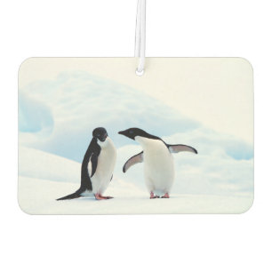 Adelie Penguins Car Air Freshener
