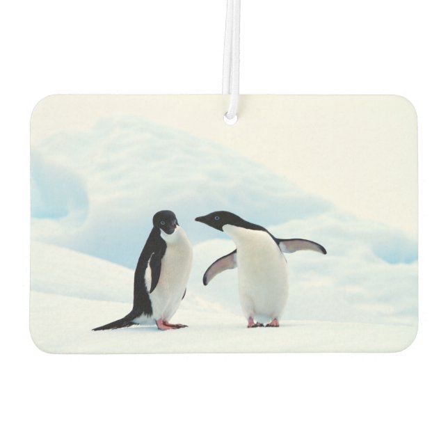 Adelie Penguins Car Air Freshener (Back)