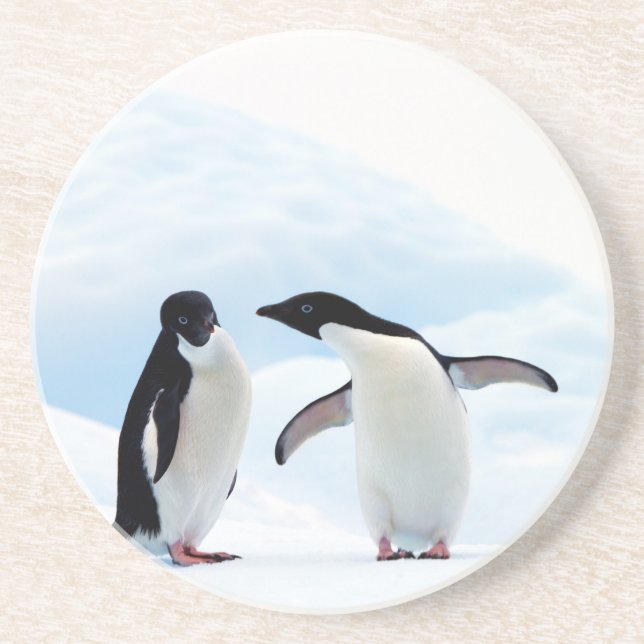Adelie Penguins Coaster (Front)