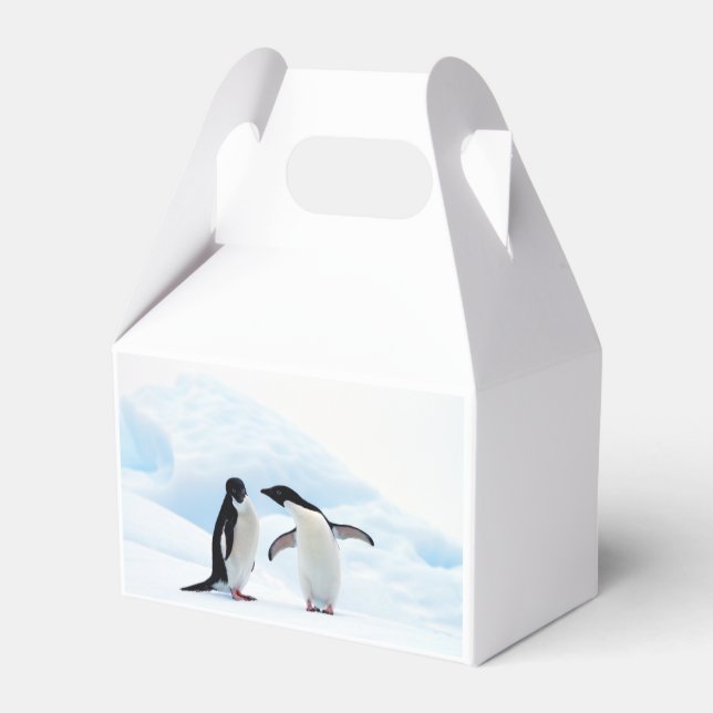 Adelie Penguins Favour Box (Back Side)