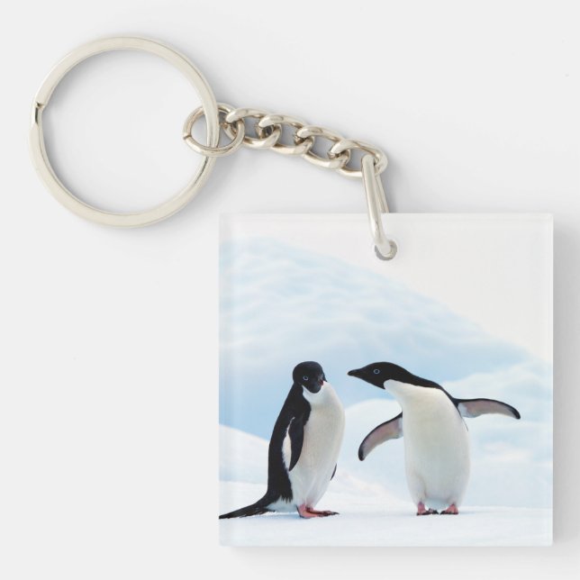 Adelie Penguins Key Ring (Front)