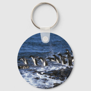 Adelie Penguins Key Ring