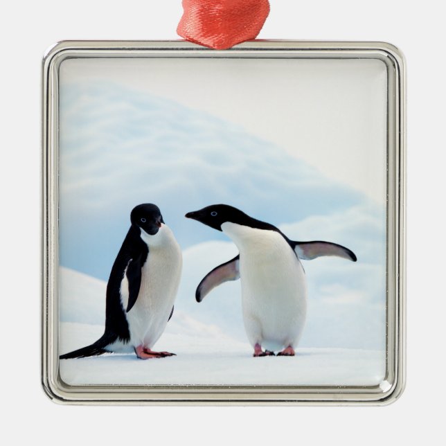 Adelie Penguins Metal Tree Decoration (Front)