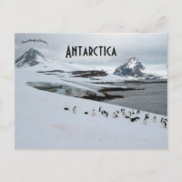 Adelie Penguins on Horseshoe Island Antarctica