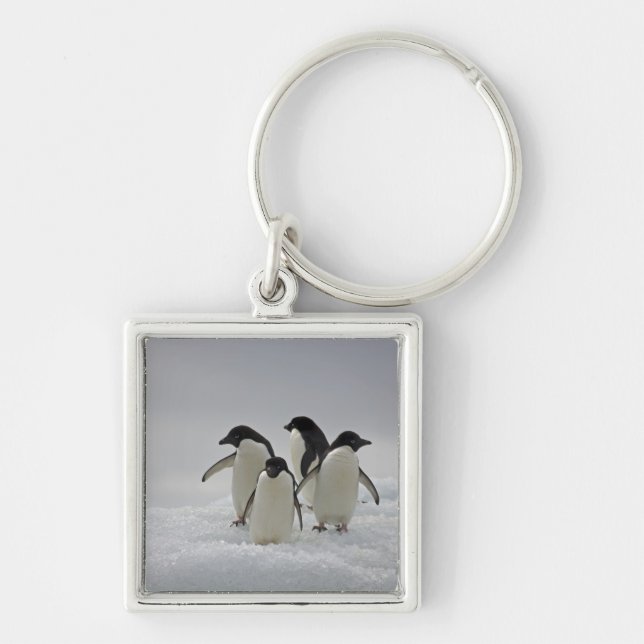 Adelie Penguins on Ice Flows Key Ring (Front)