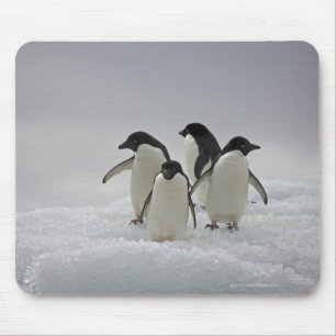 Adelie Penguins on Ice Flows Mouse Mat