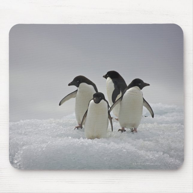 Adelie Penguins on Ice Flows Mouse Mat (Front)