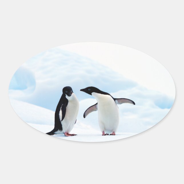 Adelie Penguins Oval Sticker (Front)