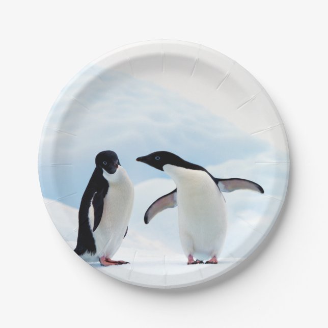 Adelie Penguins Paper Plate (Front)