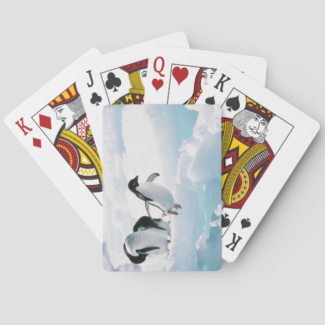 Adelie penguins (pygoscelis adeliae) Antarctica Playing Cards (Back)