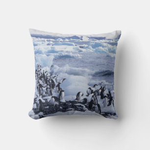 Adelie Penguins Pygoscelis adeliae Cushion