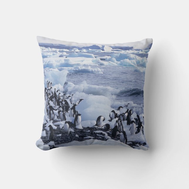 Adelie Penguins Pygoscelis adeliae Cushion (Front)