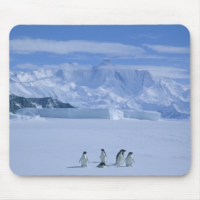 Adelie Penguins, Pygoscelis adeliae), Mouse Mat (Front)