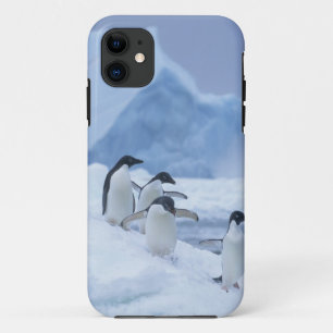 Adelie Penguins (Pygoscelis adeliae) on ice, iPhone 11 Case