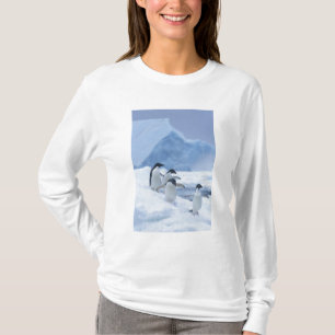Adelie Penguins (Pygoscelis adeliae) on ice, T-Shirt