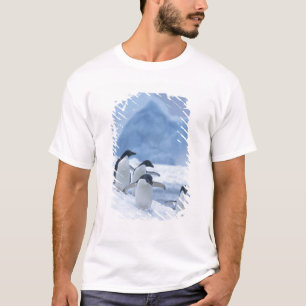 Adelie Penguins (Pygoscelis adeliae) on ice, T-Shirt