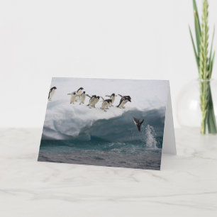 Adelie Penguins   Sea Paulette Card