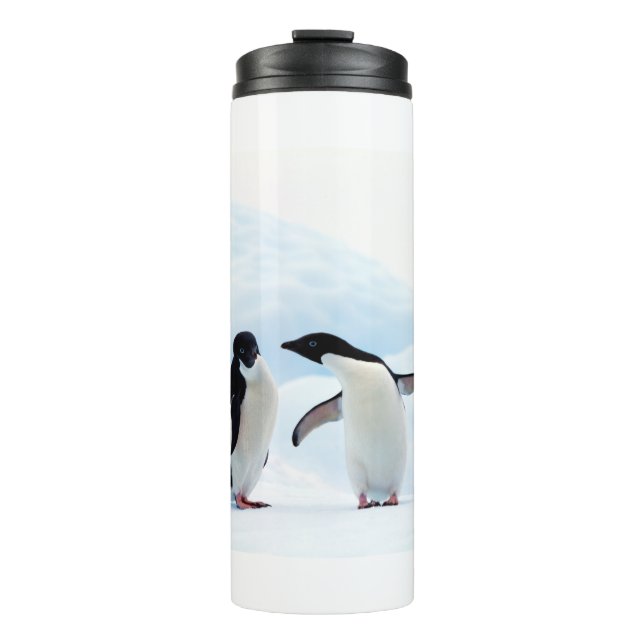 Adelie Penguins Thermal Tumbler (Front)
