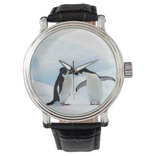 Adelie Penguins Watch