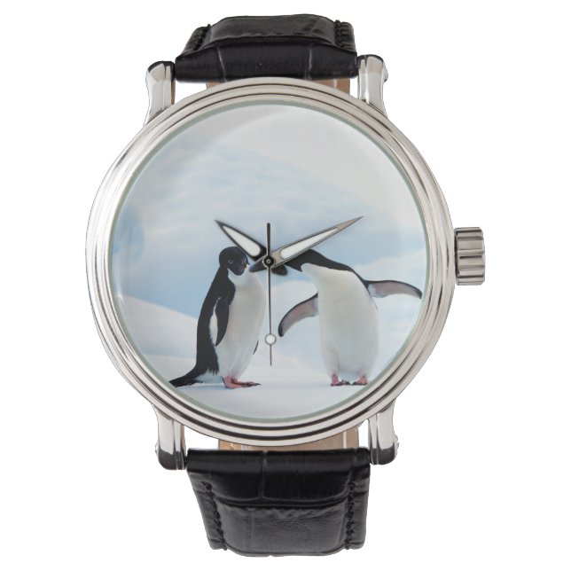 Adelie Penguins Watch (Front)