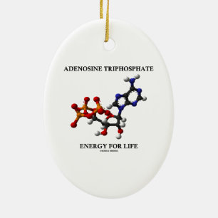 Adenosine Triphosphate (ATP) Energy For Life Ceramic Tree Decoration