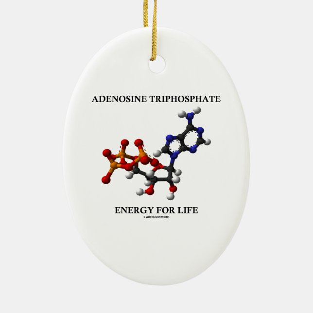 Adenosine Triphosphate (ATP) Energy For Life Ceramic Tree Decoration (Back)