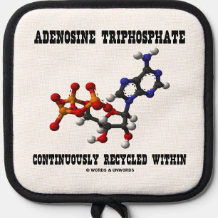 Adenosine Triphosphate Continuously Recycled ATP Oven Mitt & Pot Holder Set